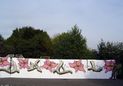 Graffiti