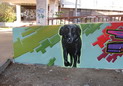 Graffiti