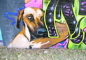 Graffiti