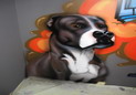 Graffiti