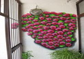 Graffiti
