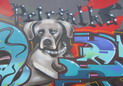 Graffiti